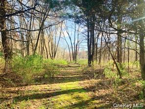 #6 photo, Sepasco Lake Road, Rhinebeck , NY 12572