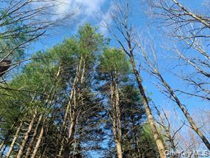 #8 photo, Sepasco Lake Road, Rhinebeck , NY 12572