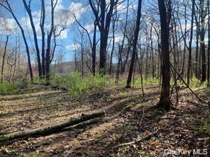 #9 photo, Sepasco Lake Road, Rhinebeck , NY 12572