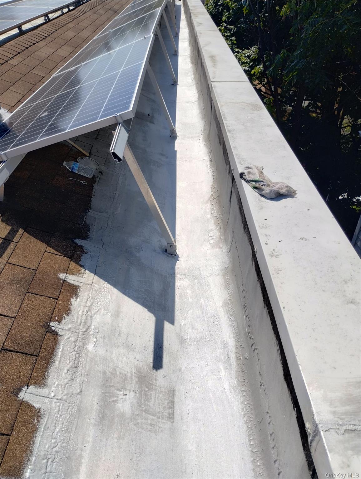 #18 photo, 933 Tilden Street, Bronx , NY 10469