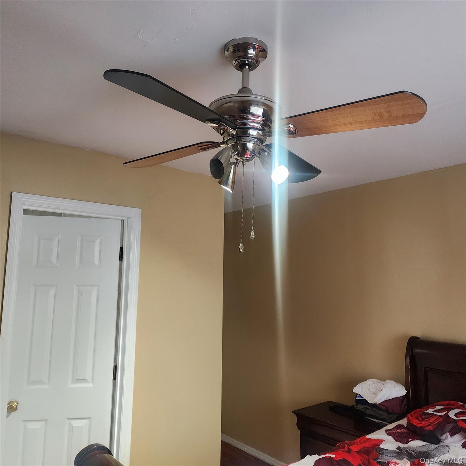 #19 photo, 933 Tilden Street, Bronx , NY 10469