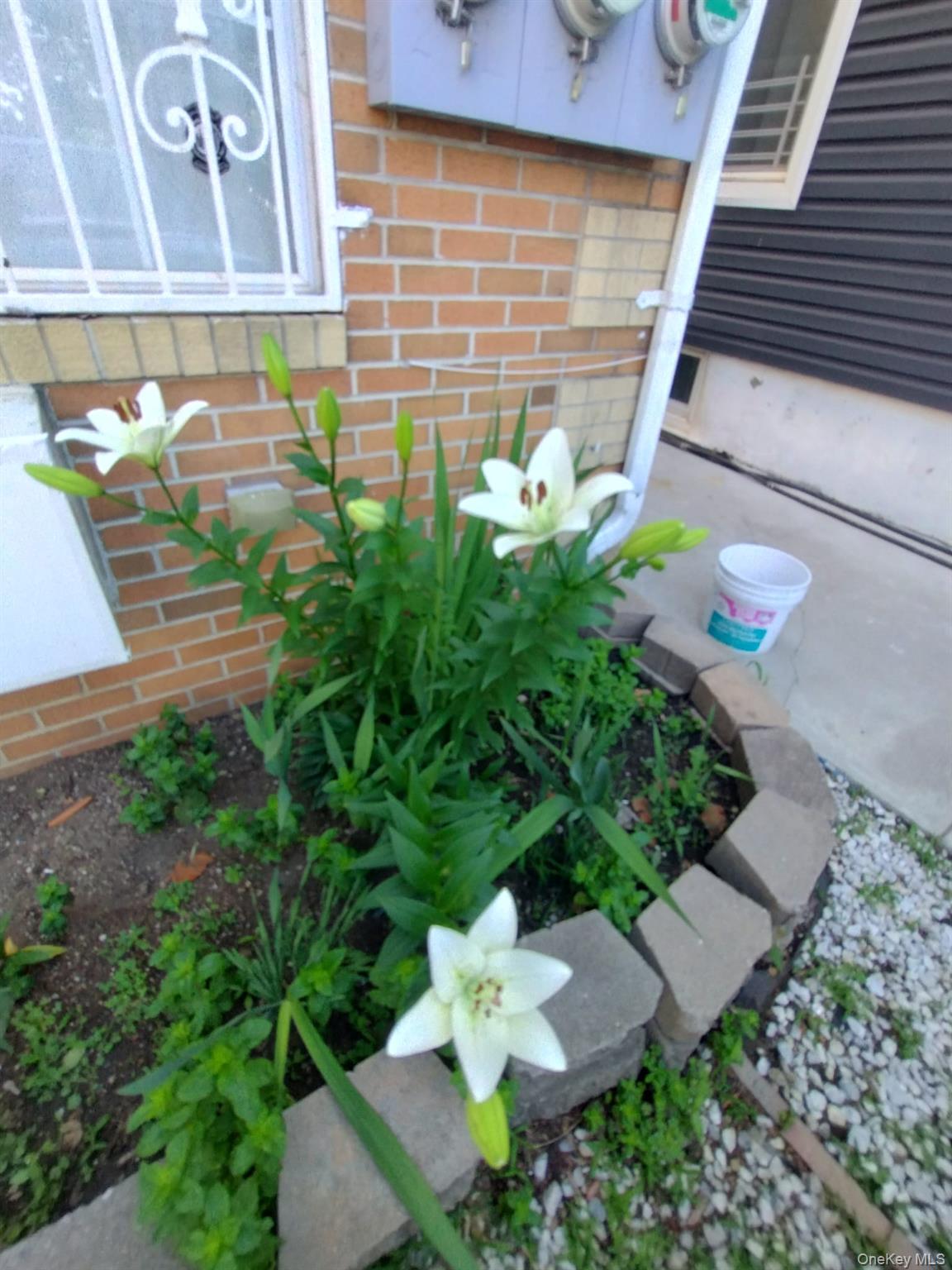 #3 photo, 933 Tilden Street, Bronx , NY 10469