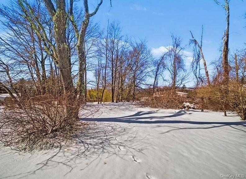 #20 photo, 4 Maple Lane, Monroe , NY 10950