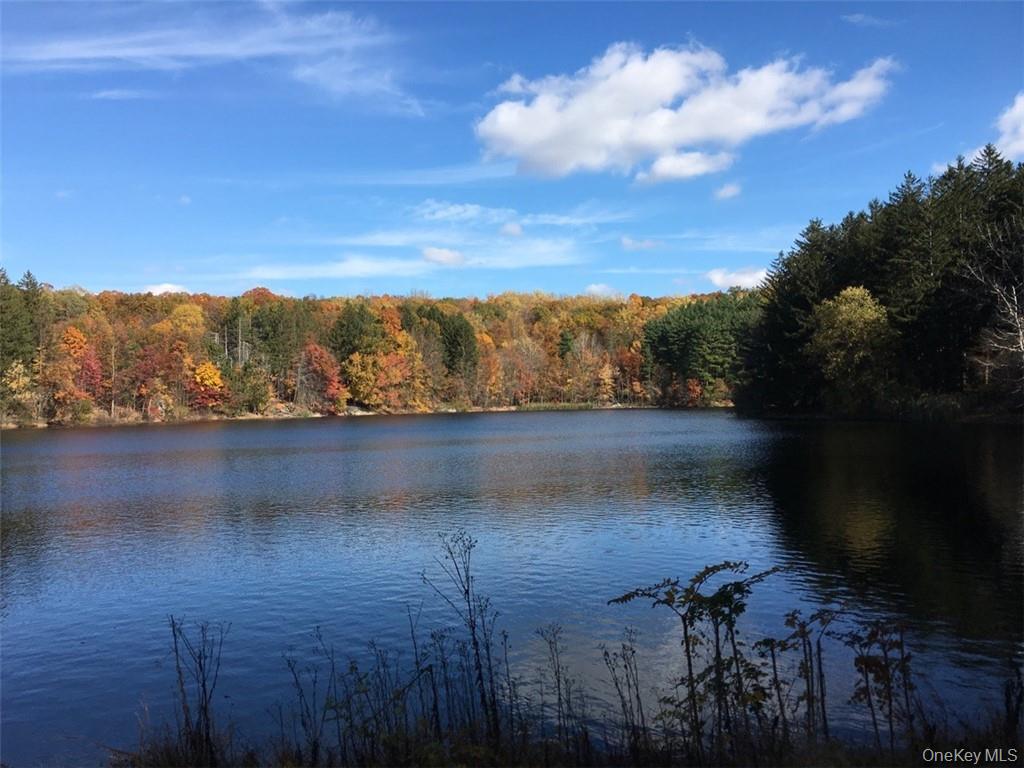 #18 photo, 1 S Astor Street, Irvington , NY 10533