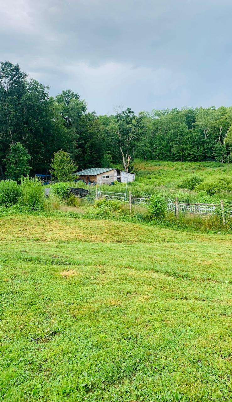 #13 photo, 3 Burr Road, Cochecton , NY 12726