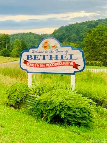 #3 photo, 3 Burr Road, Cochecton , NY 12726