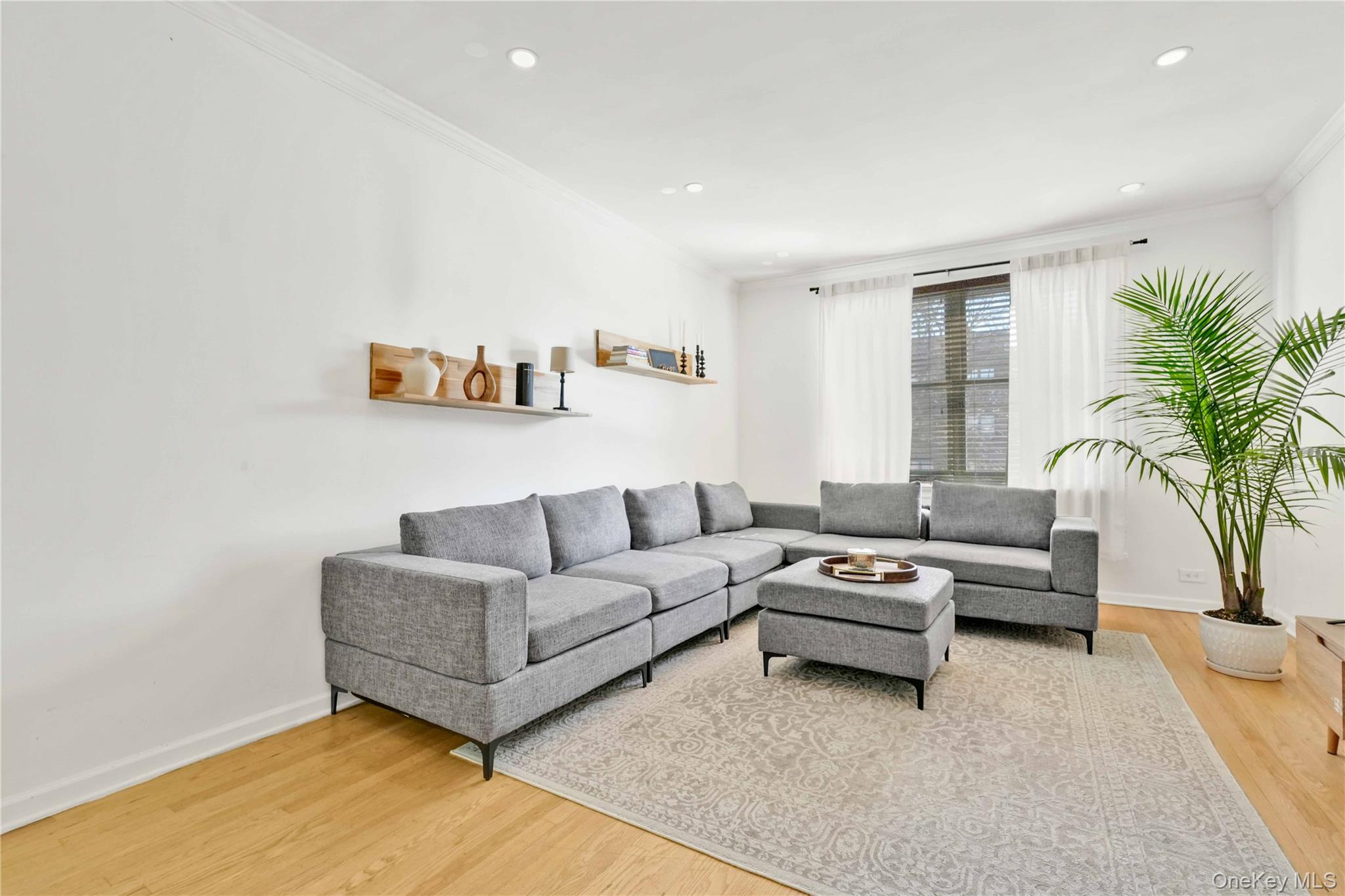 #15 photo, 7707 Ditmars Boulevard, एल्महर्स्ट East Elmhurst , NY 11370