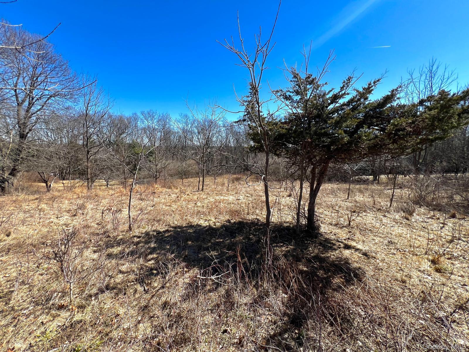 #3 photo, Greenville Turnpike, Port Jervis , NY 12771