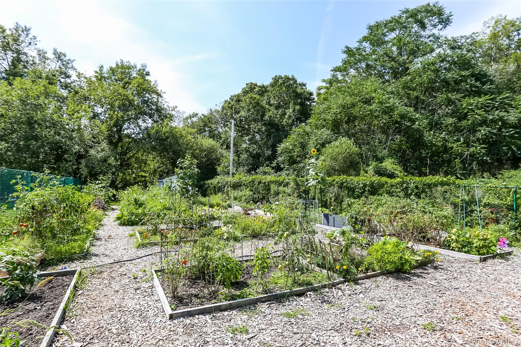 #17 photo, 100 Diplomat Drive, 뉴욕주 Mount Kisco , NY 10549