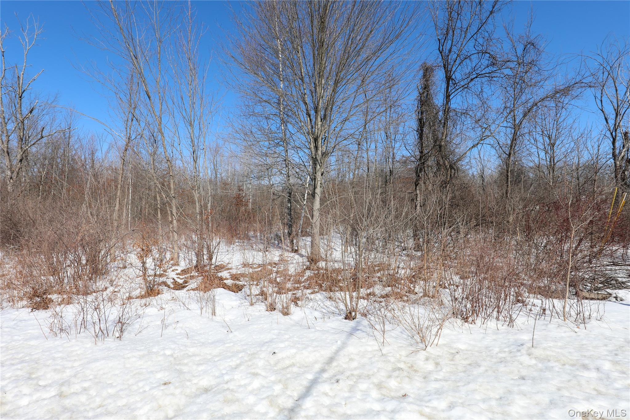 #6 photo, 2410 State Route 300, Wallkill , NY 12589