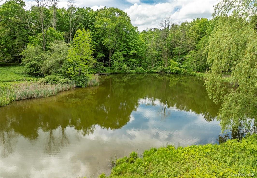 #4 photo, 1282 Hollow Road, Clinton Corners , NY 12514