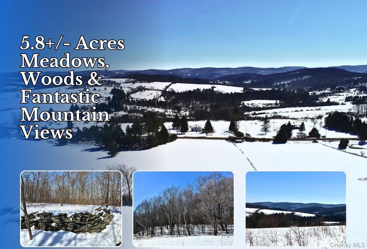 #1 photo, Lot 42 Hamden Hill Road, Hamden , NY 13782