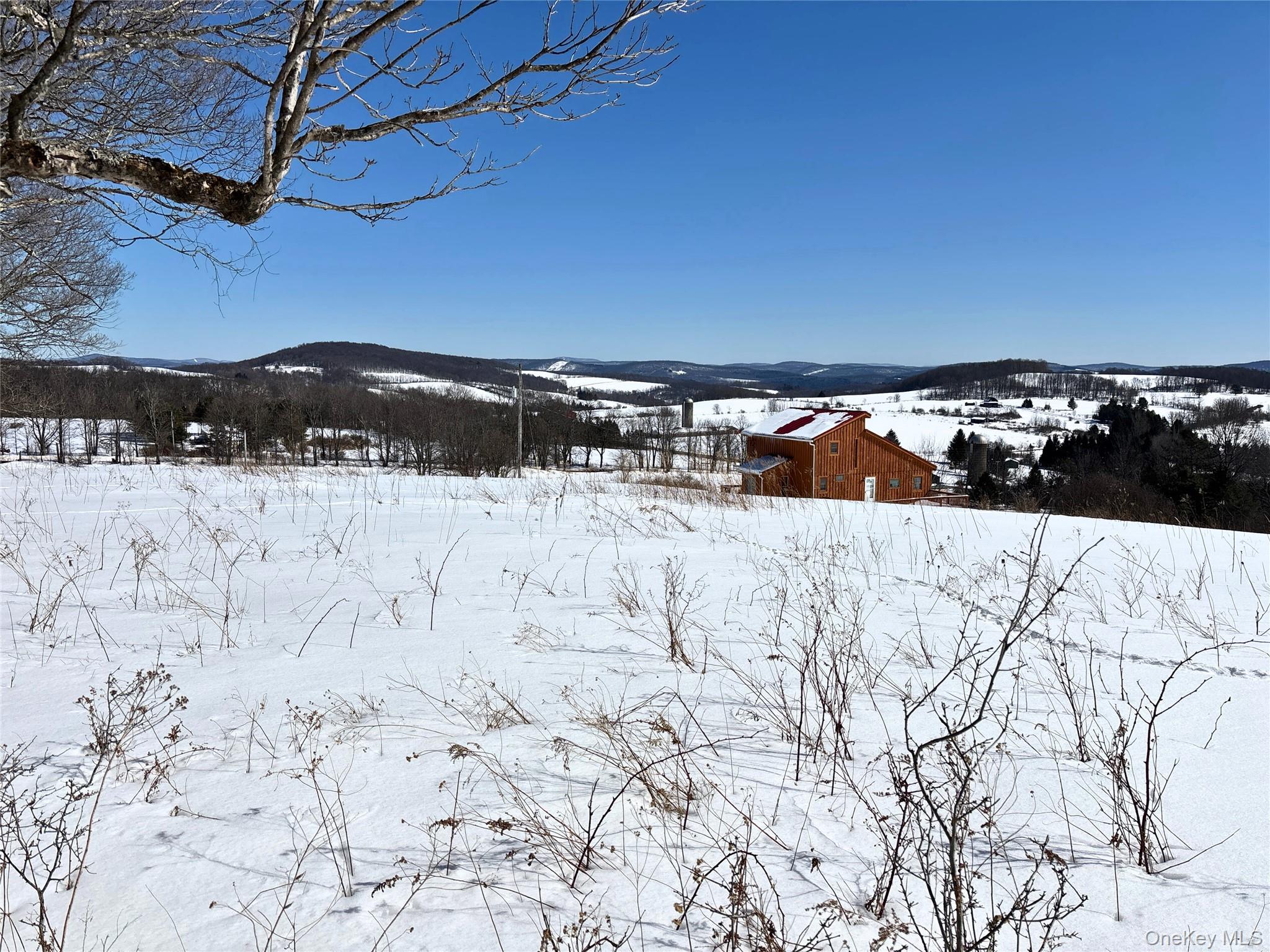 #10 photo, Lot 42 Hamden Hill Road, Hamden , NY 13782