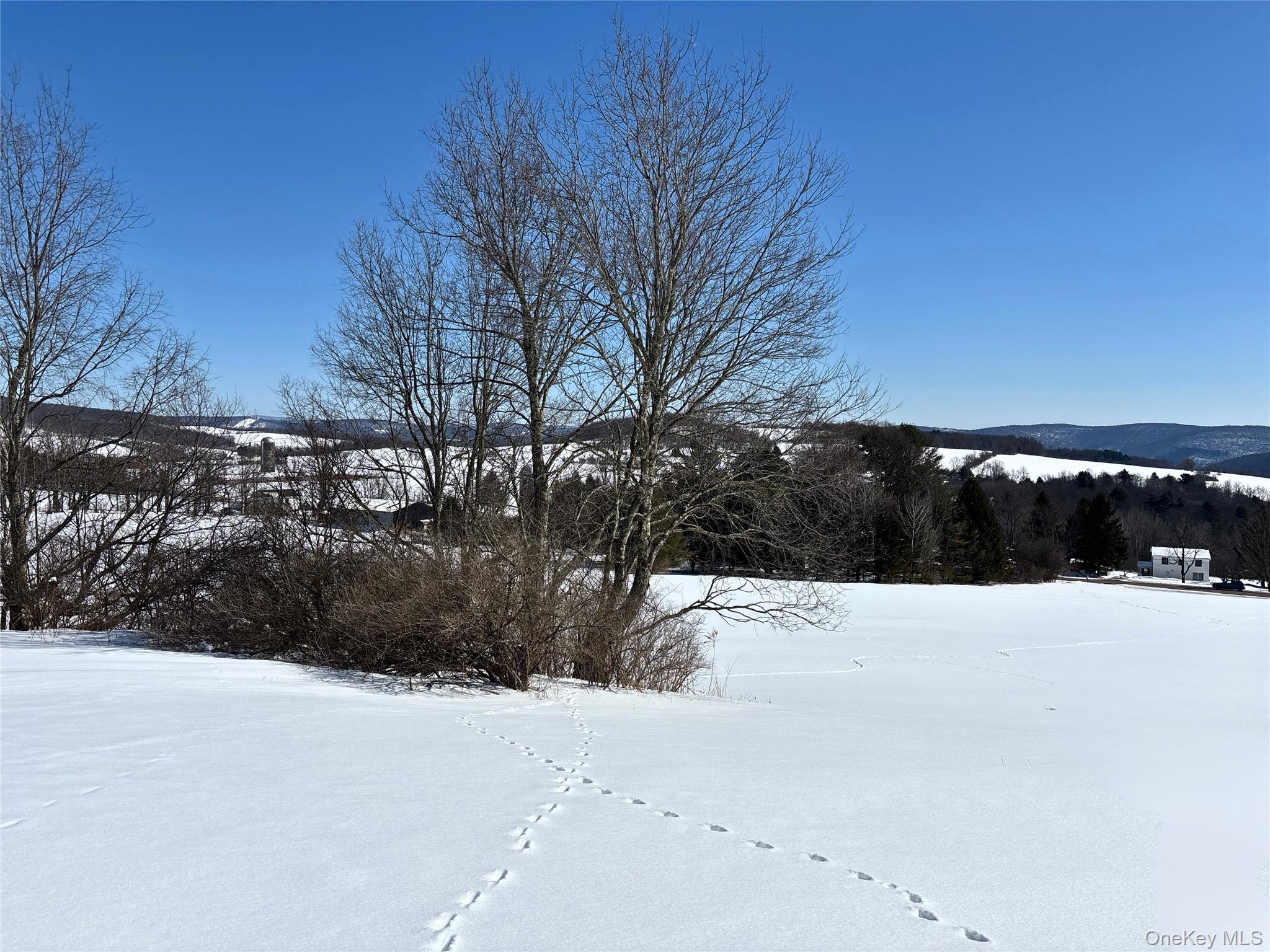 #11 photo, Lot 42 Hamden Hill Road, Hamden , NY 13782