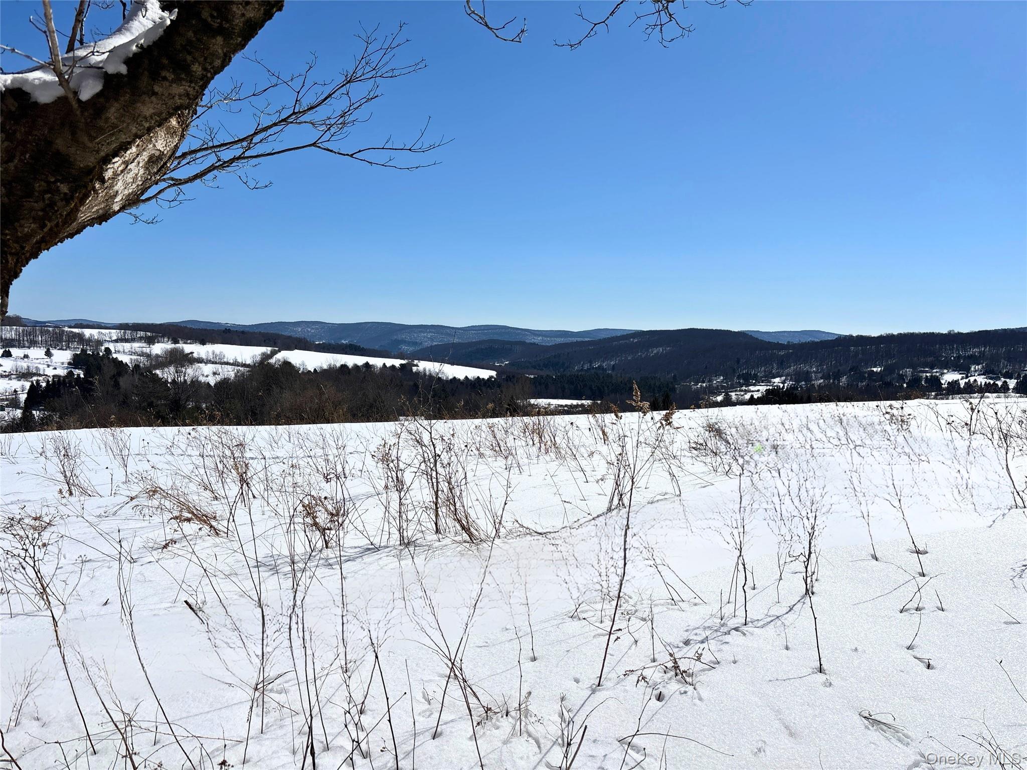 #12 photo, Lot 42 Hamden Hill Road, Hamden , NY 13782