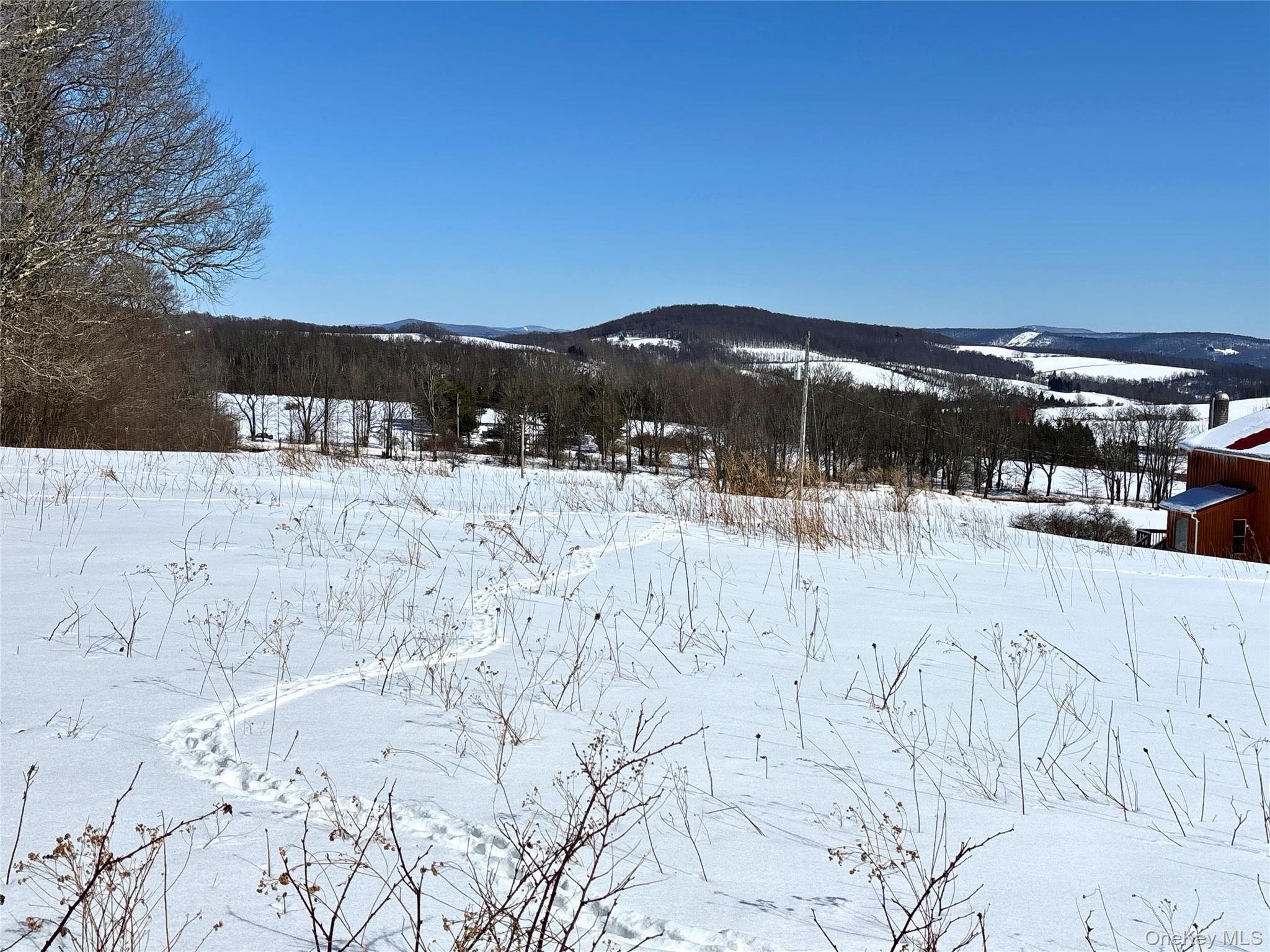 #13 photo, Lot 42 Hamden Hill Road, Hamden , NY 13782