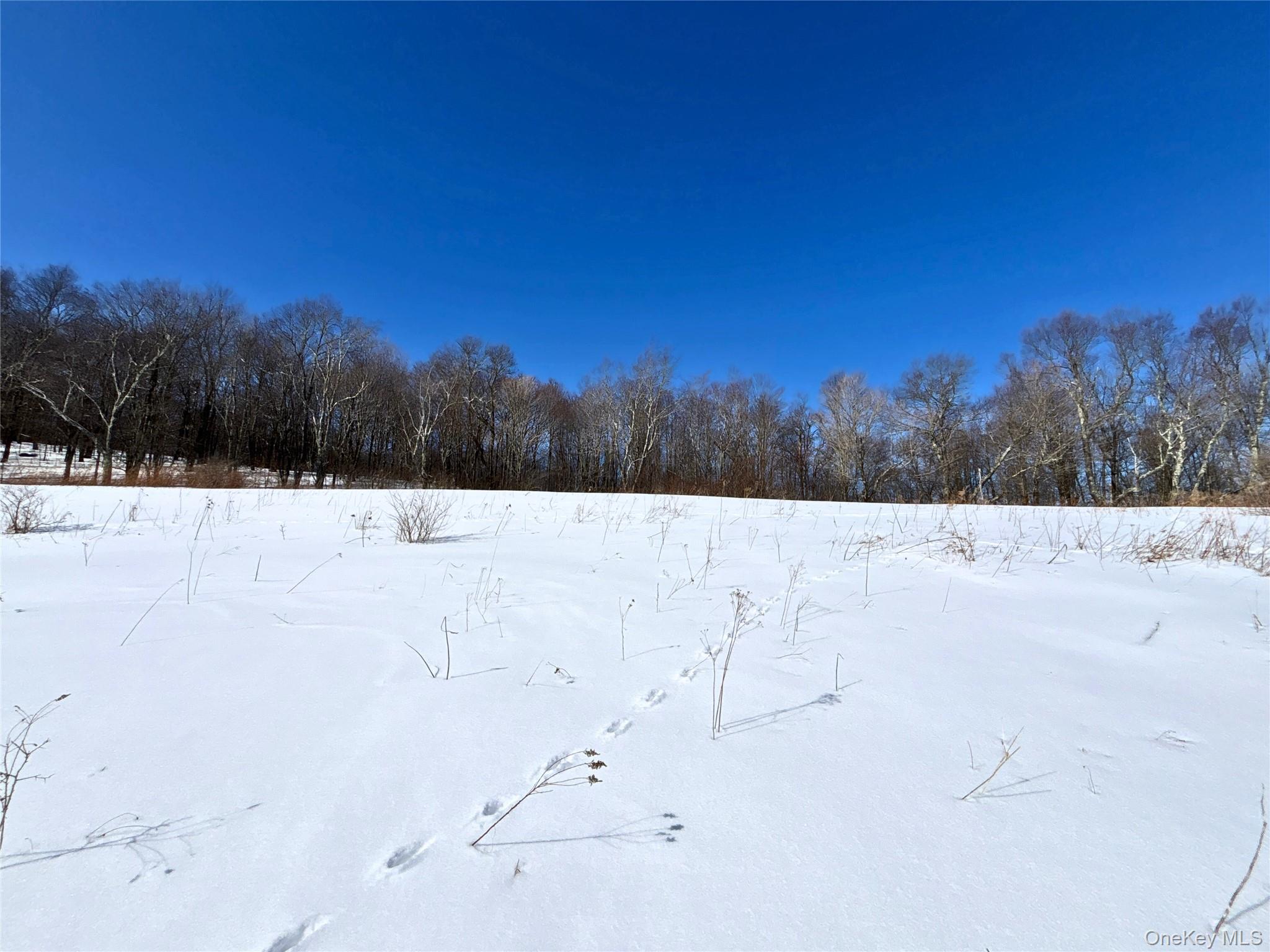 #14 photo, Lot 42 Hamden Hill Road, Hamden , NY 13782