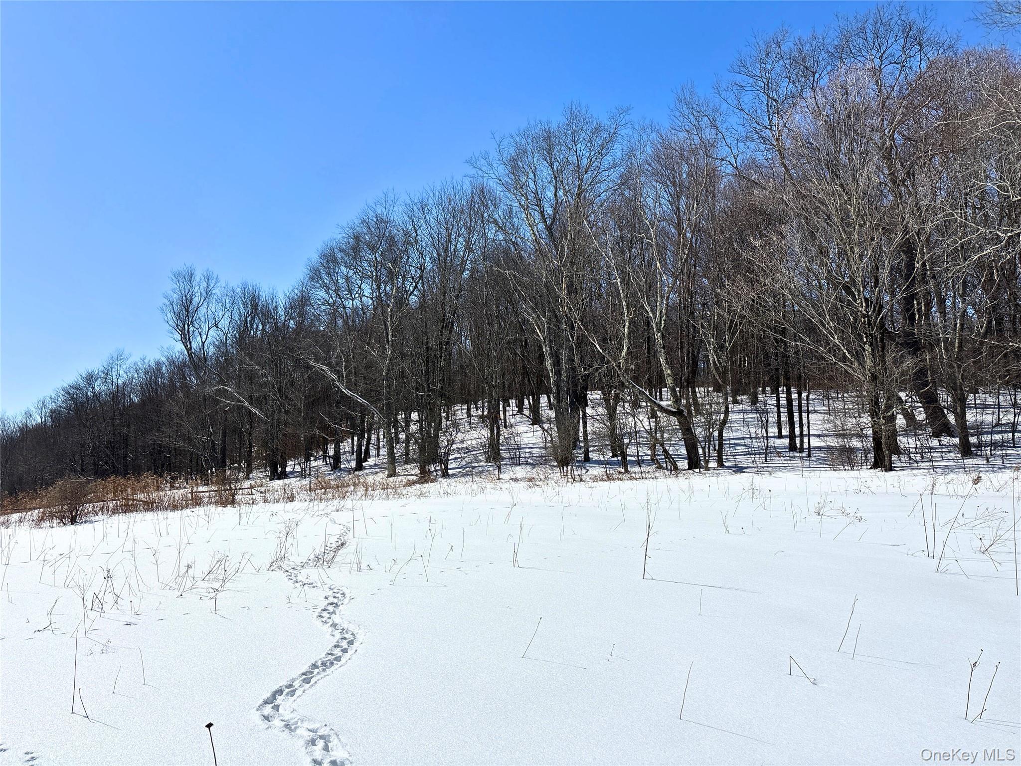 #15 photo, Lot 42 Hamden Hill Road, Hamden , NY 13782