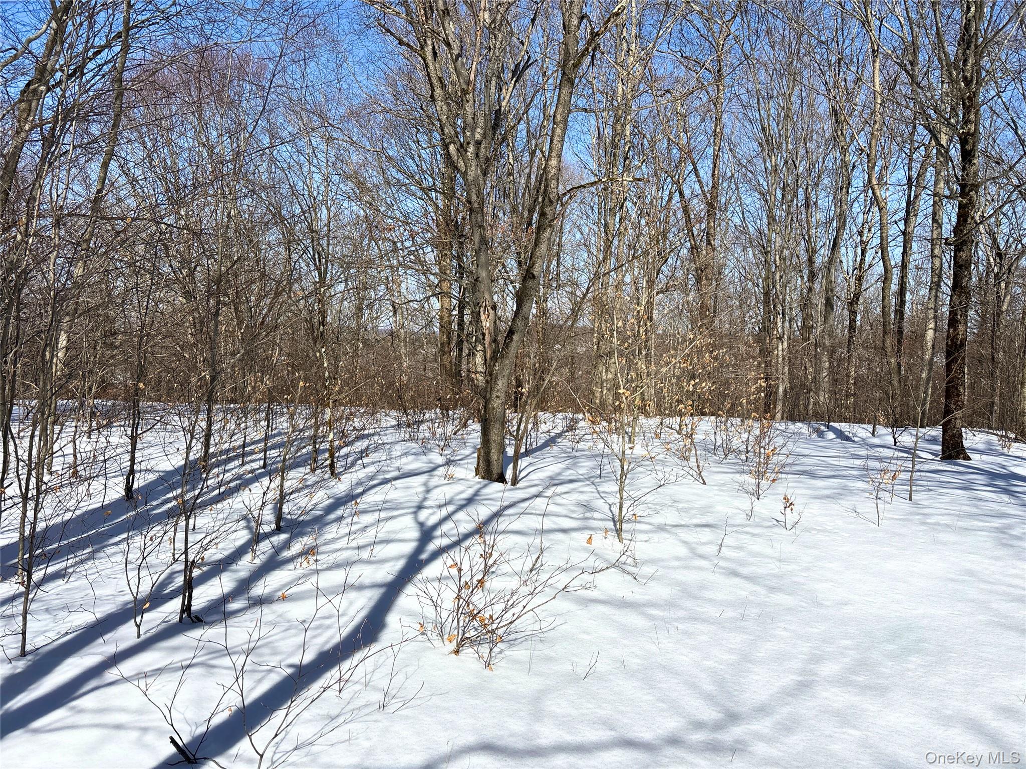 #16 photo, Lot 42 Hamden Hill Road, Hamden , NY 13782