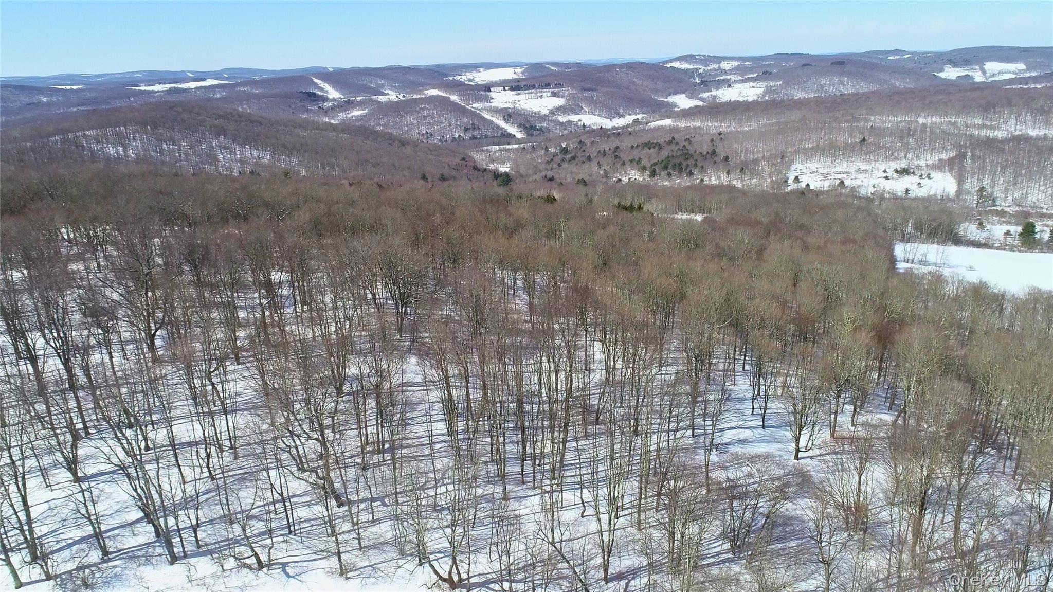 #17 photo, Lot 42 Hamden Hill Road, Hamden , NY 13782