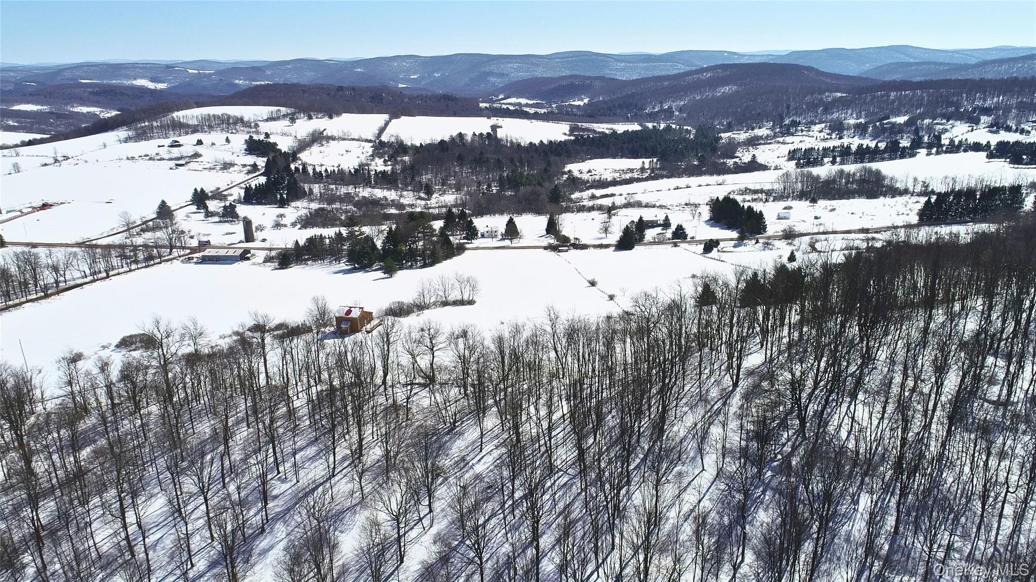 #18 photo, Lot 42 Hamden Hill Road, Hamden , NY 13782