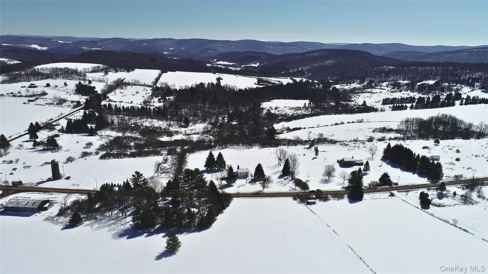 #5 photo, Lot 42 Hamden Hill Road, Hamden , NY 13782