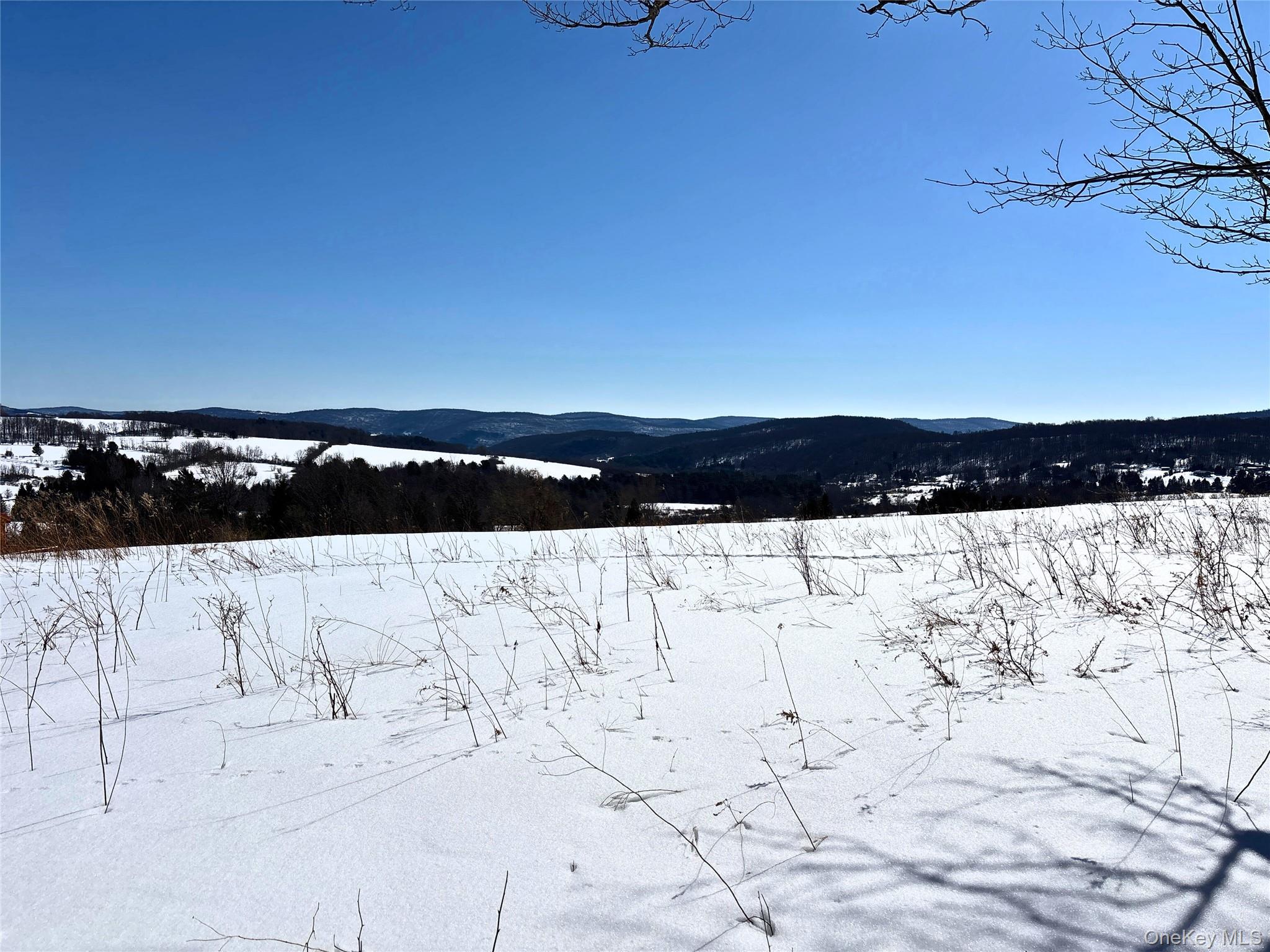 #6 photo, Lot 42 Hamden Hill Road, Hamden , NY 13782