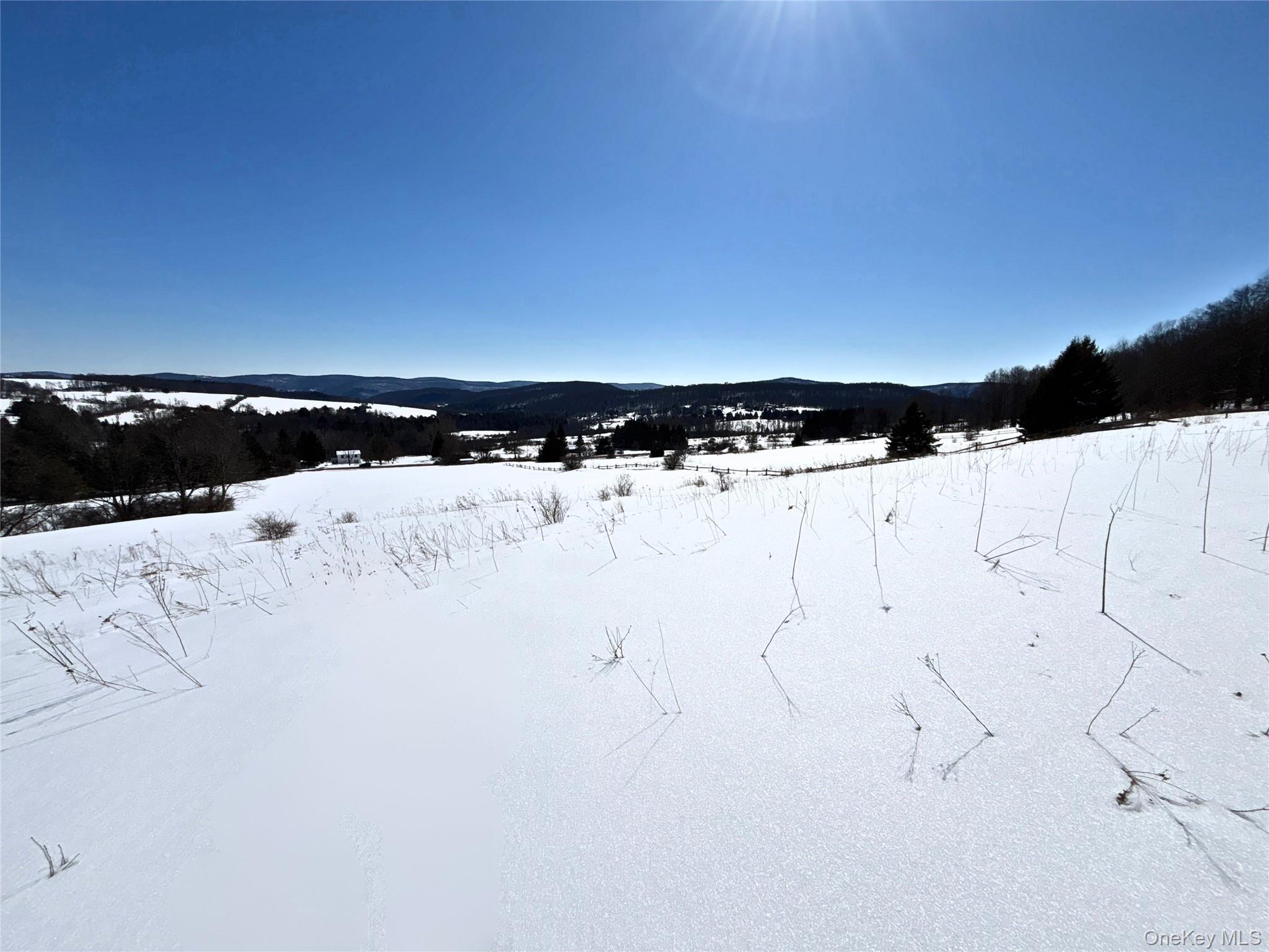 #7 photo, Lot 42 Hamden Hill Road, Hamden , NY 13782