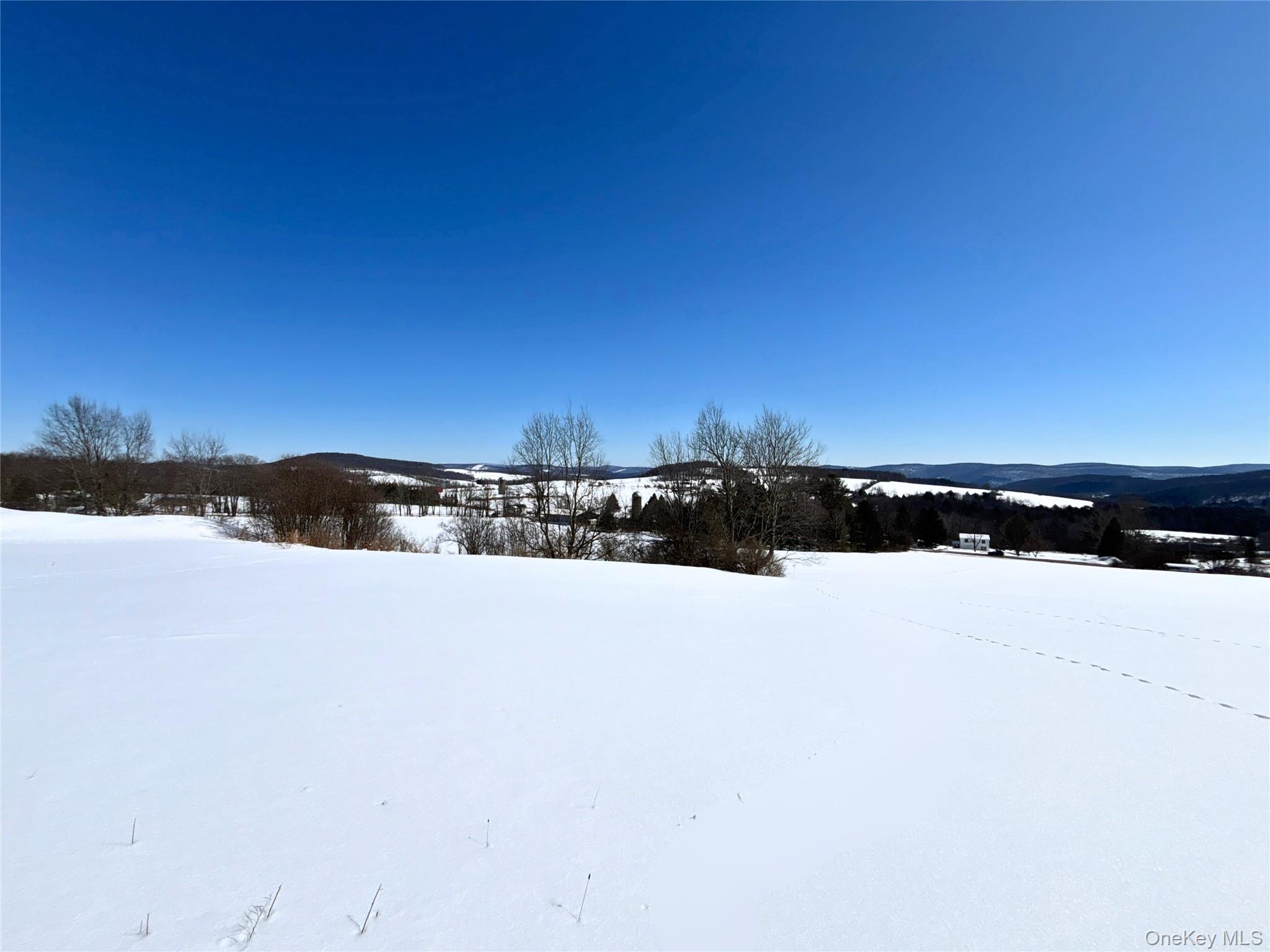 #8 photo, Lot 42 Hamden Hill Road, Hamden , NY 13782