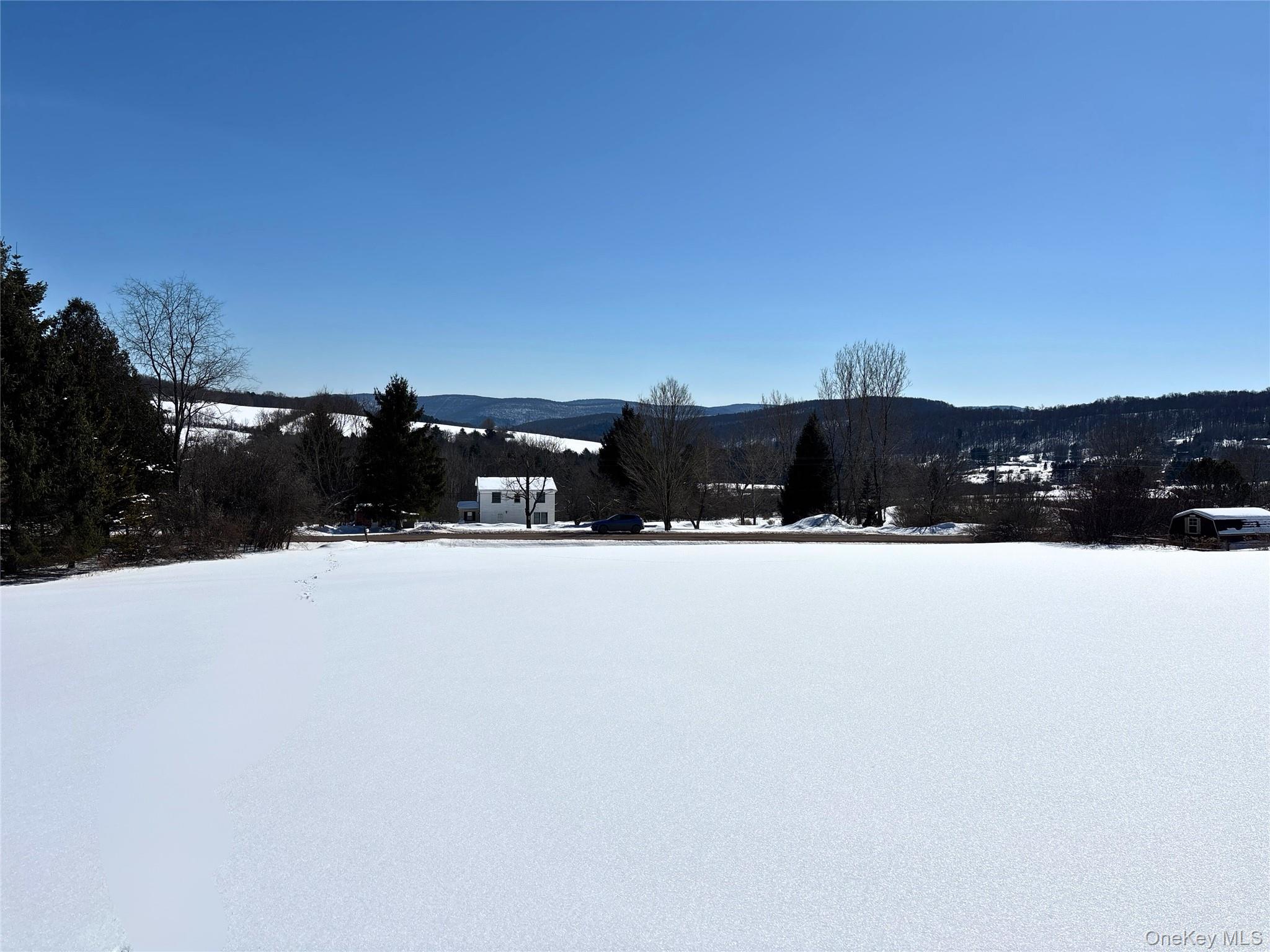 #9 photo, Lot 42 Hamden Hill Road, Hamden , NY 13782