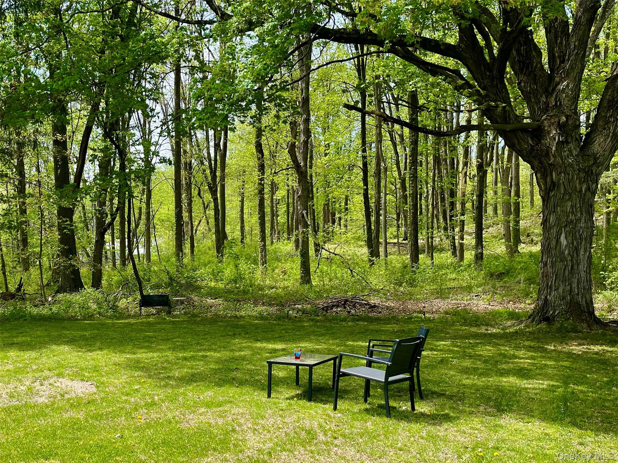 #19 photo, 9 King Road, Rhinebeck , NY 12572