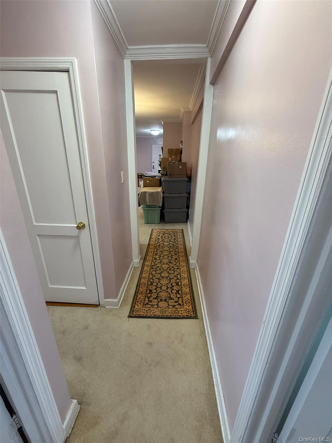 #10 photo, 215-19 48th Avenue, Oakland Gardens , NY 11364