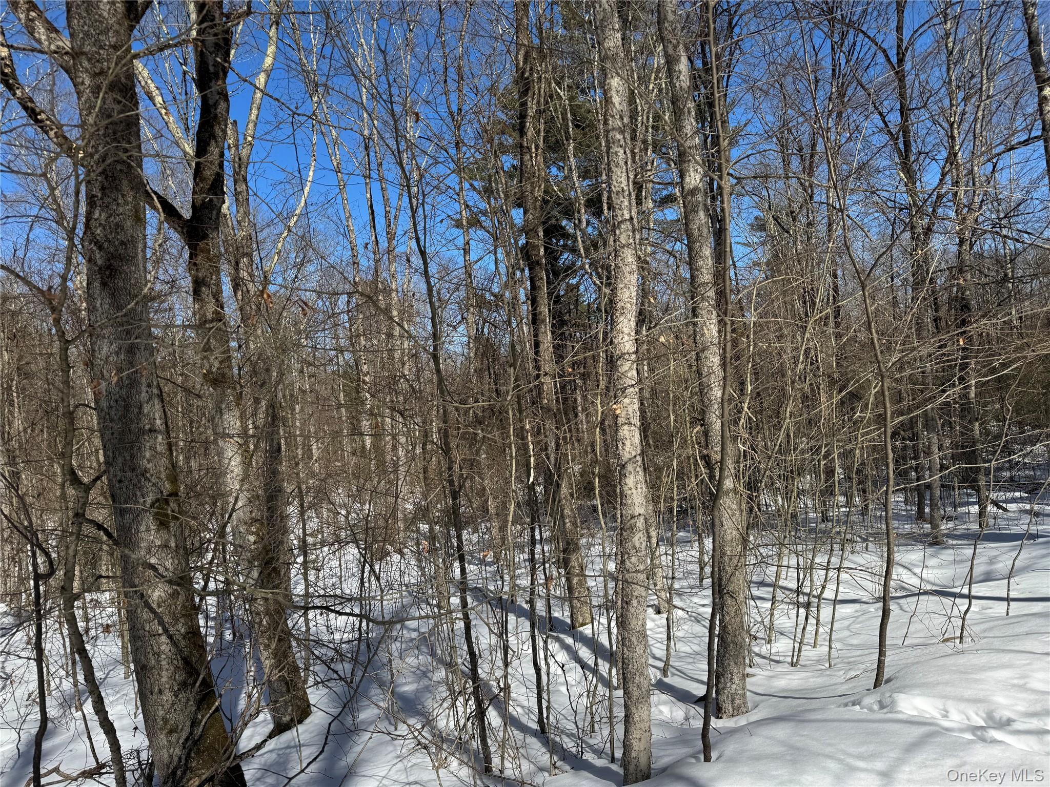 #11 photo, Lot 32 Woodstone Trail, Bethel , NY 12720