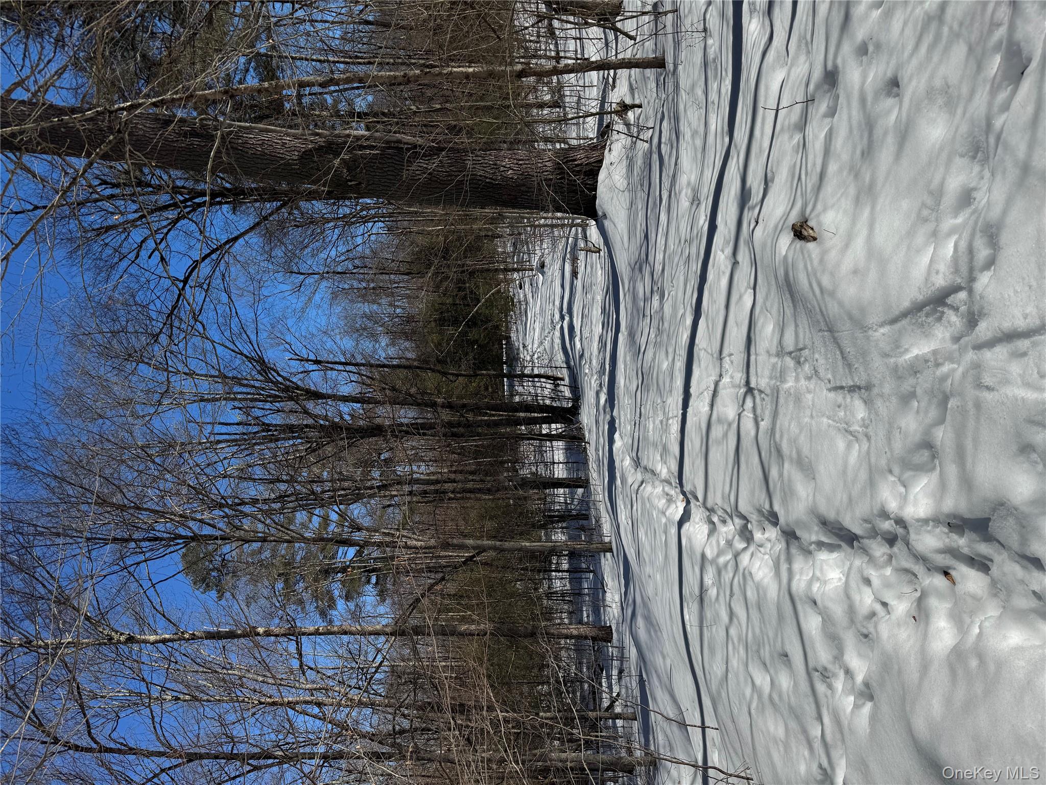 #2 photo, Lot 32 Woodstone Trail, Bethel , NY 12720