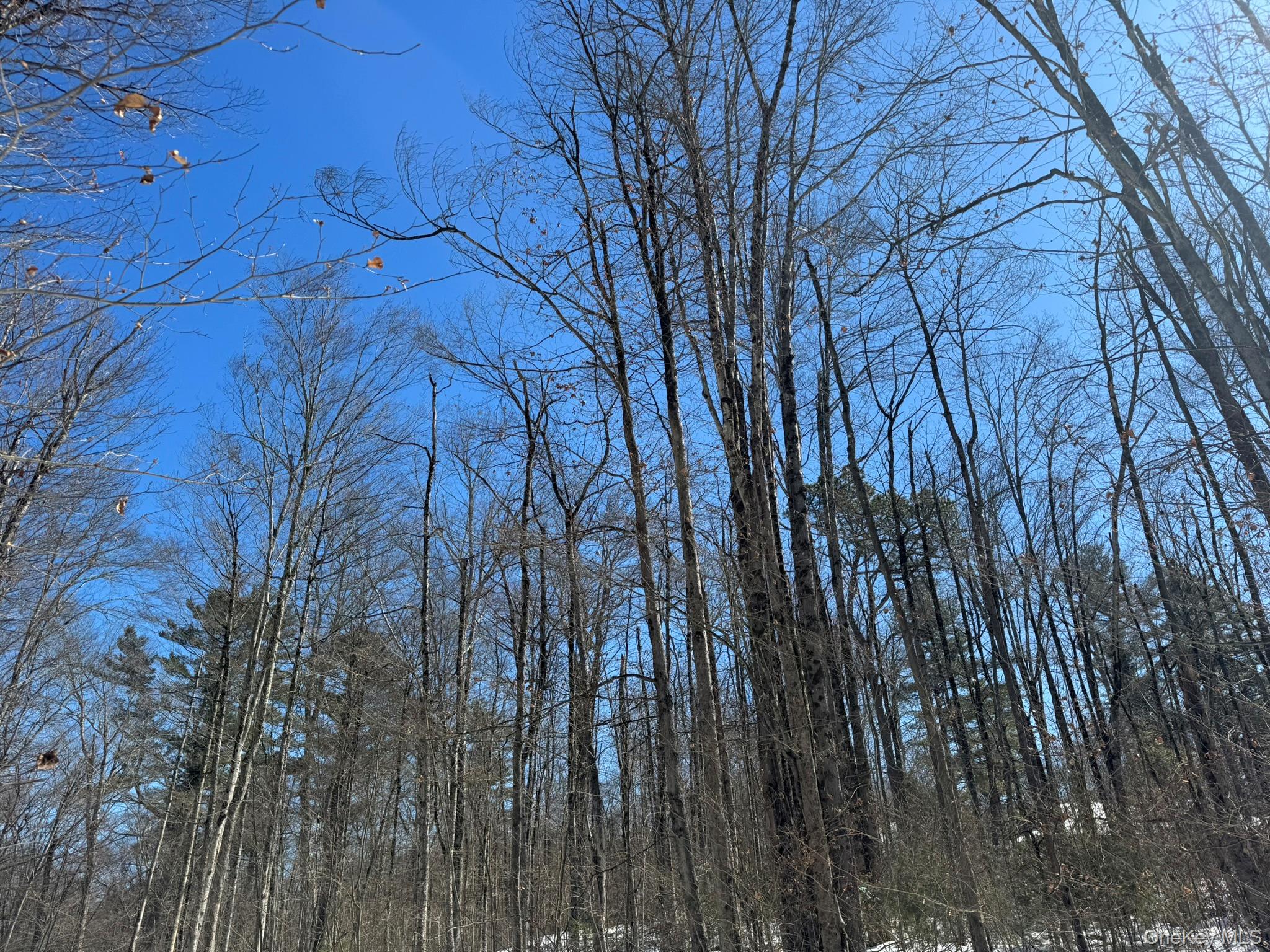 #4 photo, Lot 32 Woodstone Trail, Bethel , NY 12720