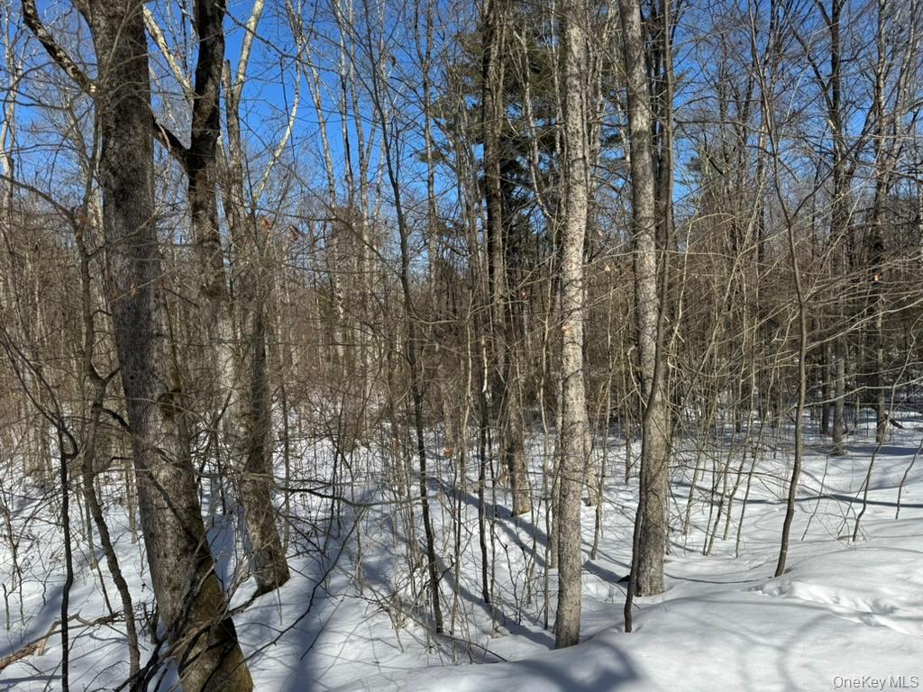 #5 photo, Lot 32 Woodstone Trail, Bethel , NY 12720