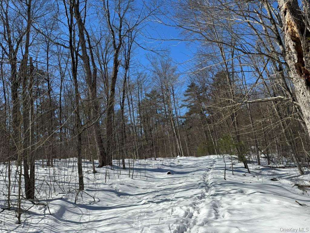 #6 photo, Lot 32 Woodstone Trail, Bethel , NY 12720