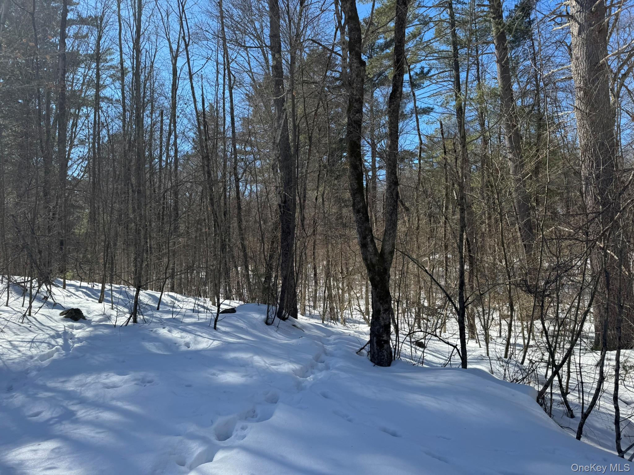 #7 photo, Lot 32 Woodstone Trail, Bethel , NY 12720