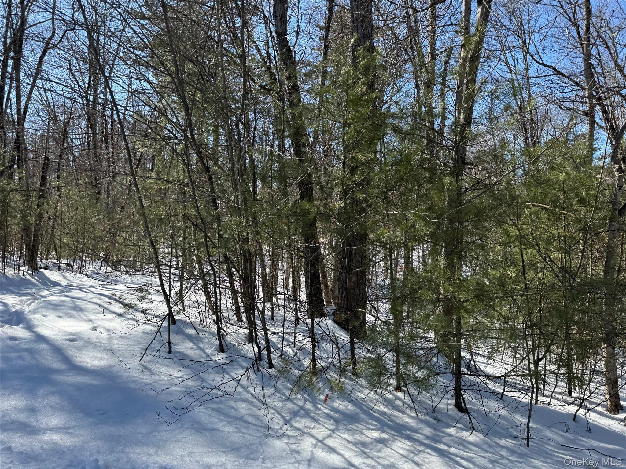 #8 photo, Lot 32 Woodstone Trail, Bethel , NY 12720