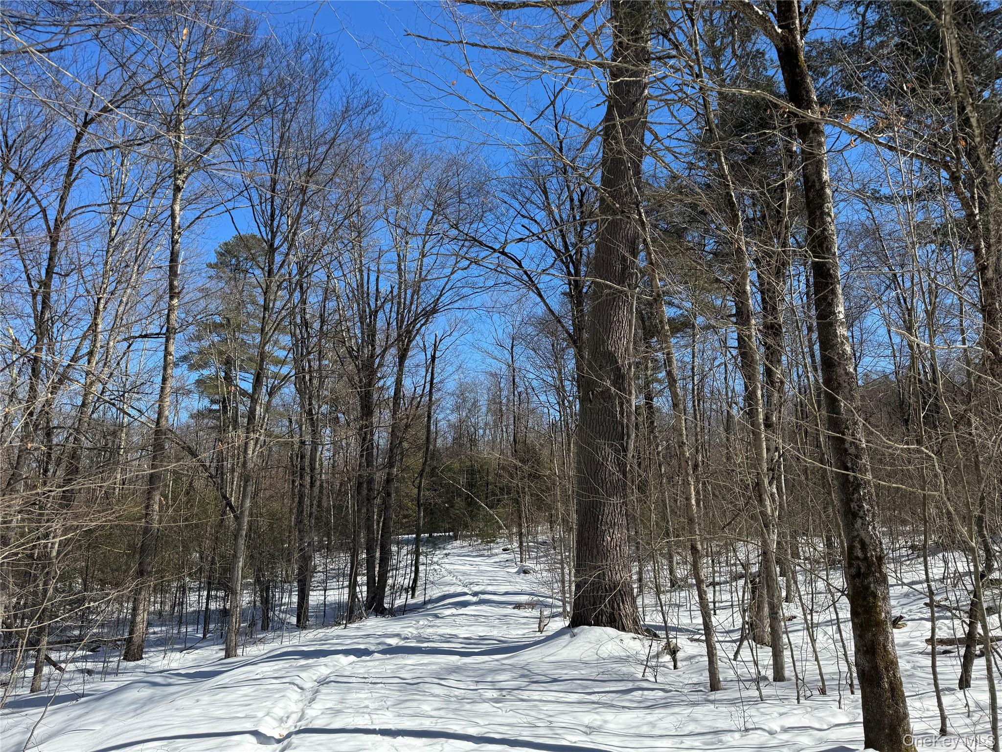 #9 photo, Lot 32 Woodstone Trail, Bethel , NY 12720