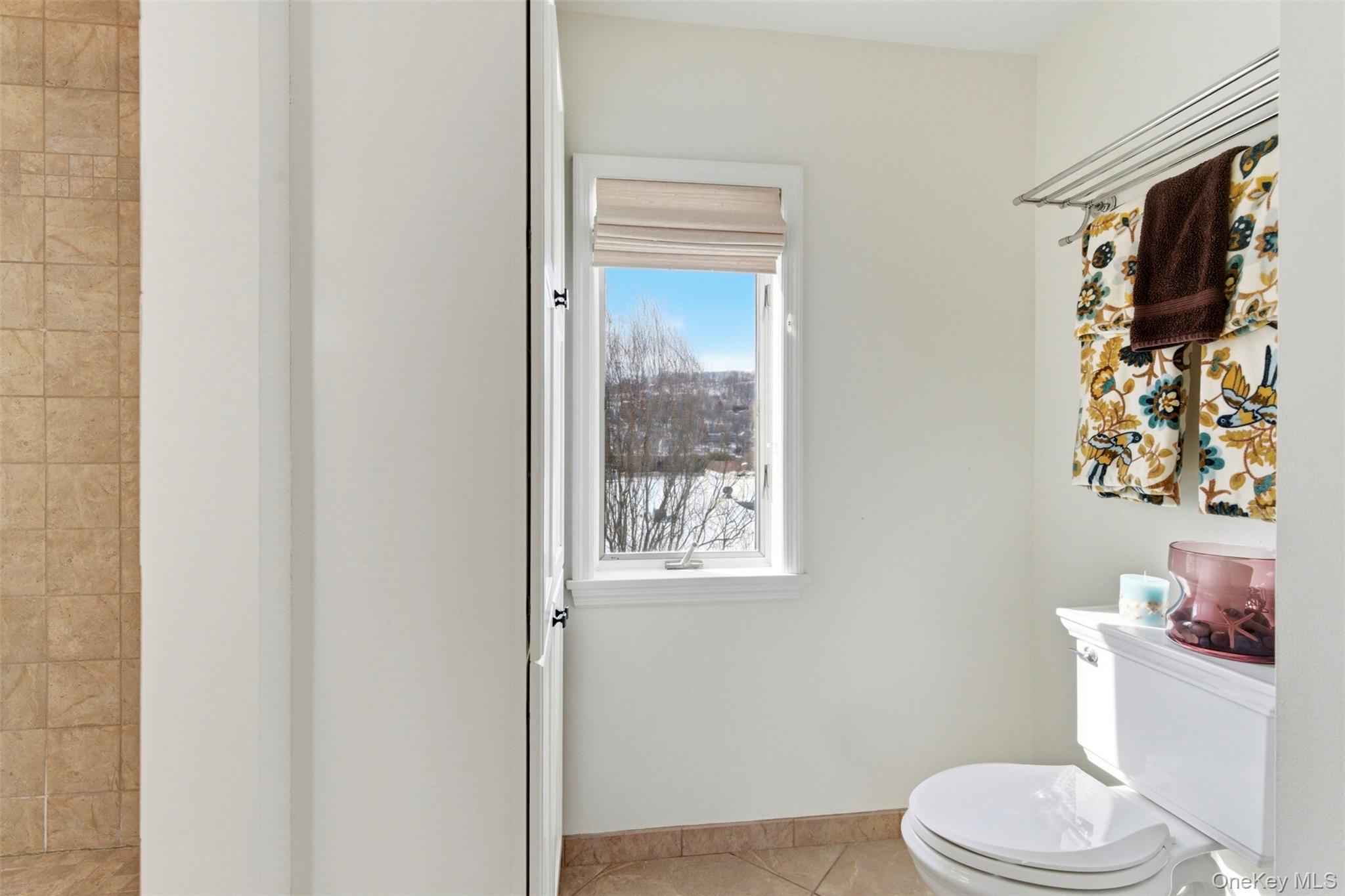 #16 photo, 512 Devries Court, Piermont , NY 10968