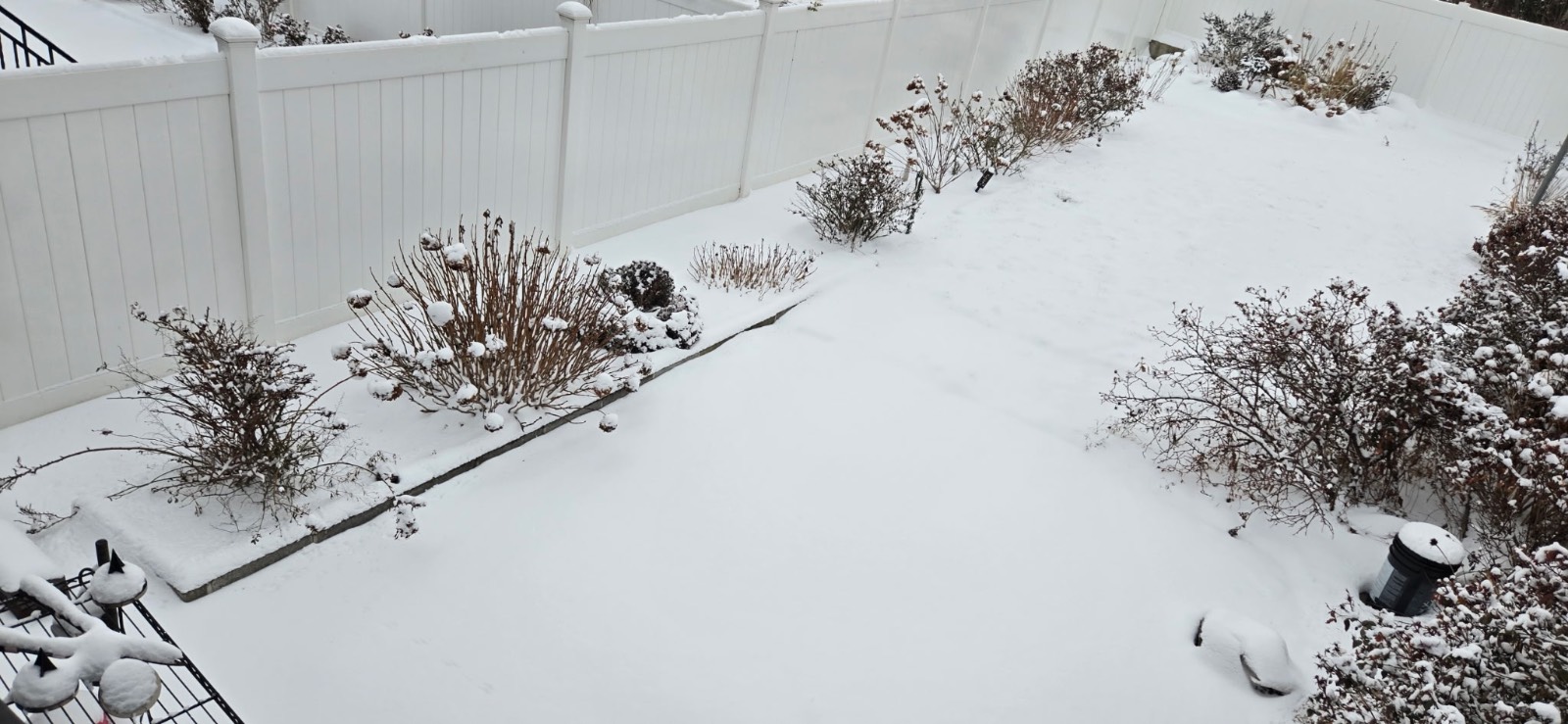 #12 photo, 3327 Pearsall Ave, הברונקס Bronx , NY 10469