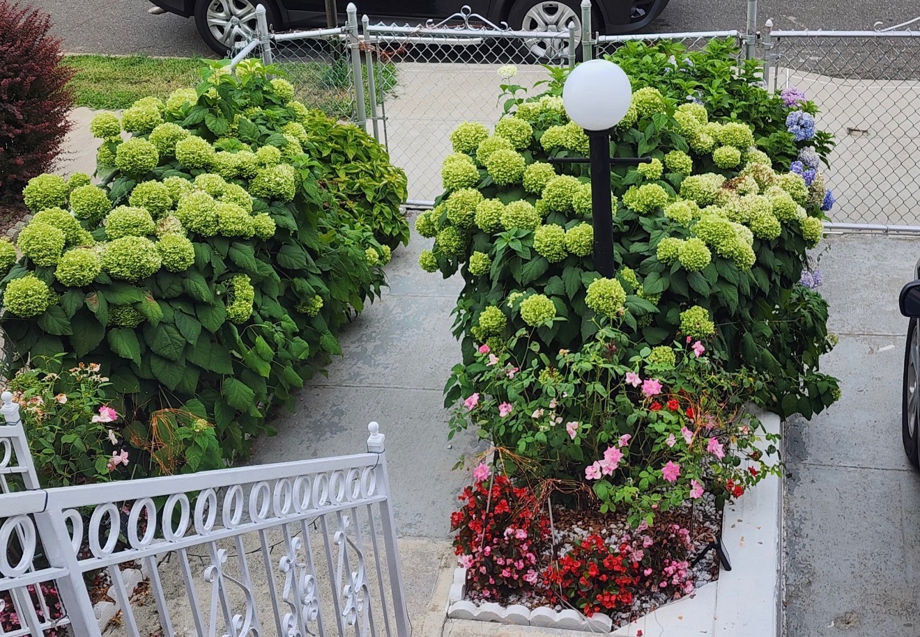 #8 photo, 3327 Pearsall Ave, הברונקס Bronx , NY 10469