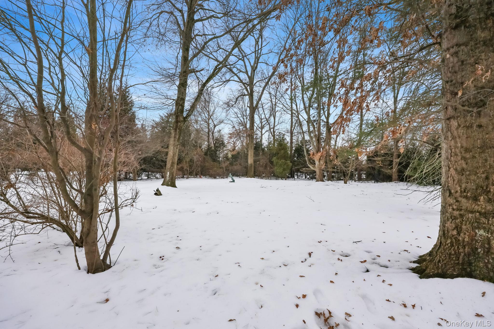 #5 photo, 7 Mayflower Road, Scarsdale , NY 10583