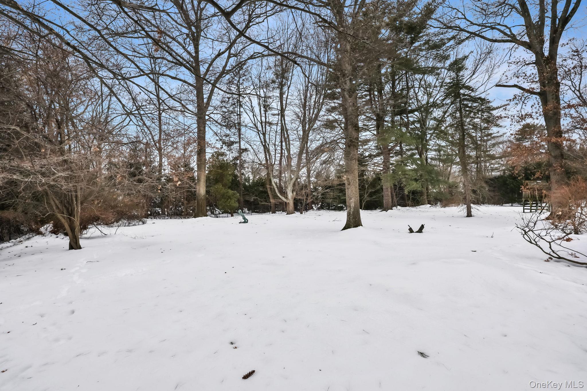 #8 photo, 7 Mayflower Road, Scarsdale , NY 10583
