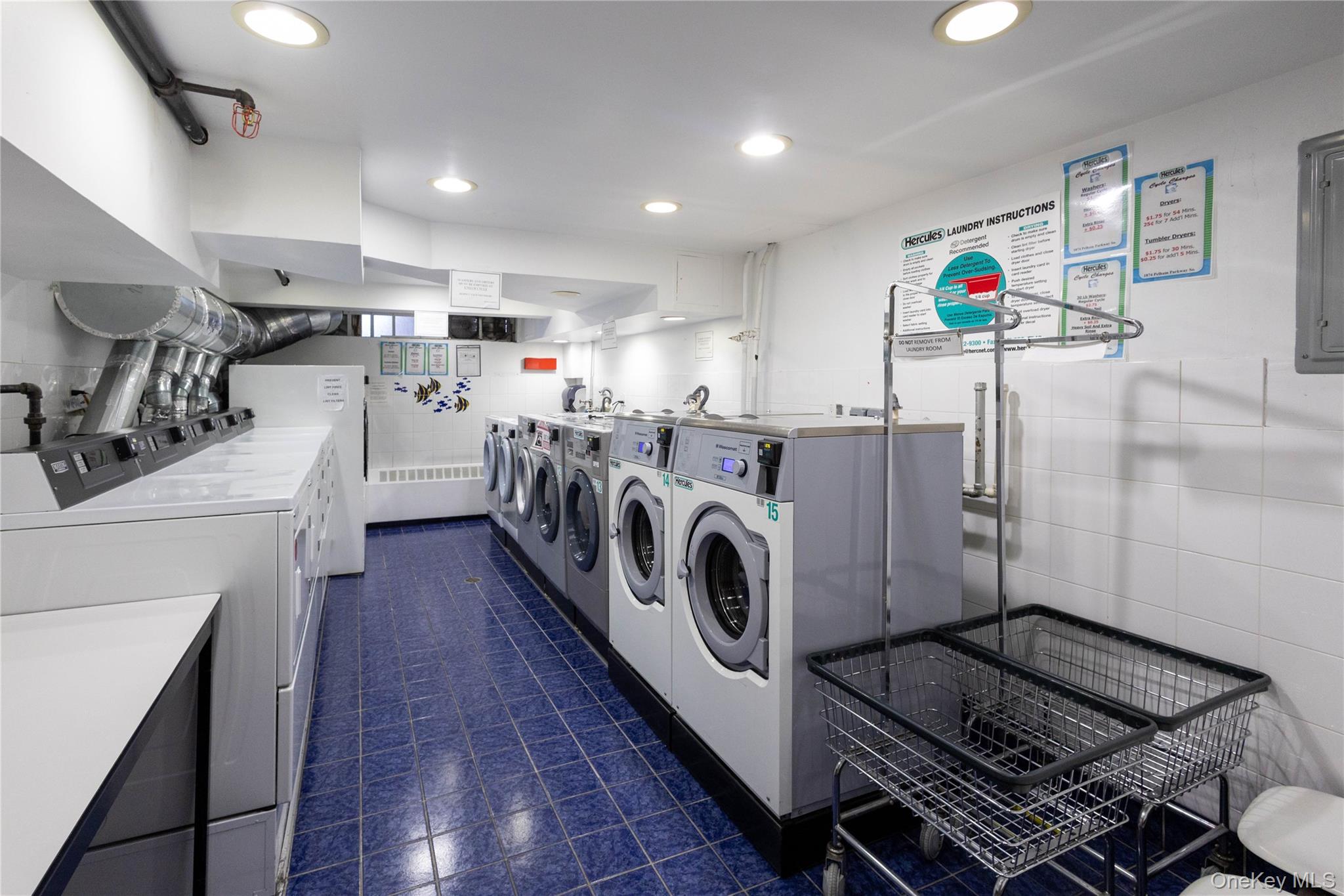 #19 photo, 1874 Pelham Parkway, Bronx , NY 10461