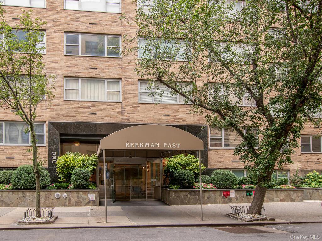 #10 photo, 330 E 49th Street, मैनहटन New York (Manhattan) , NY 10017