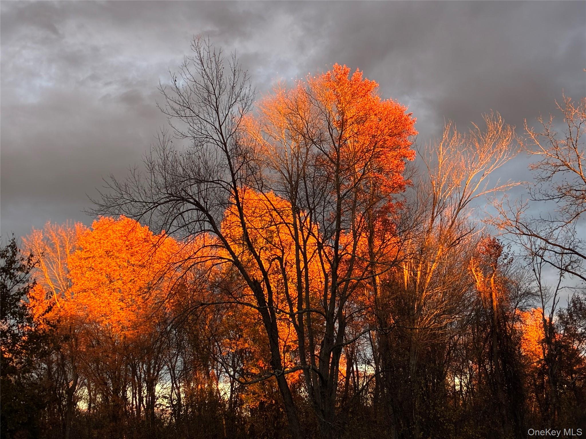 #10 photo, 14 Harrigan Road, Hopewell Junction , NY 12533