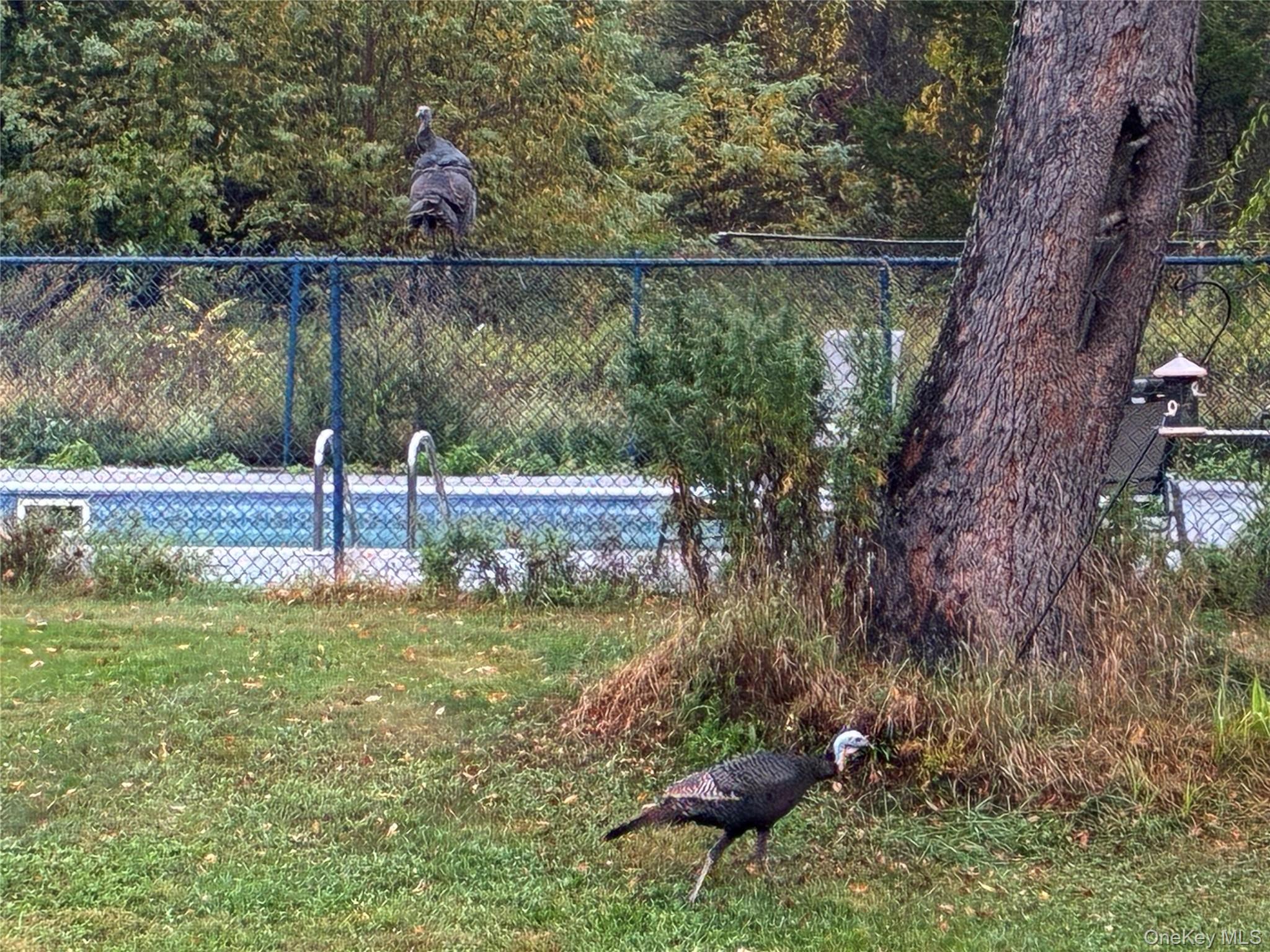 #6 photo, 14 Harrigan Road, Hopewell Junction , NY 12533