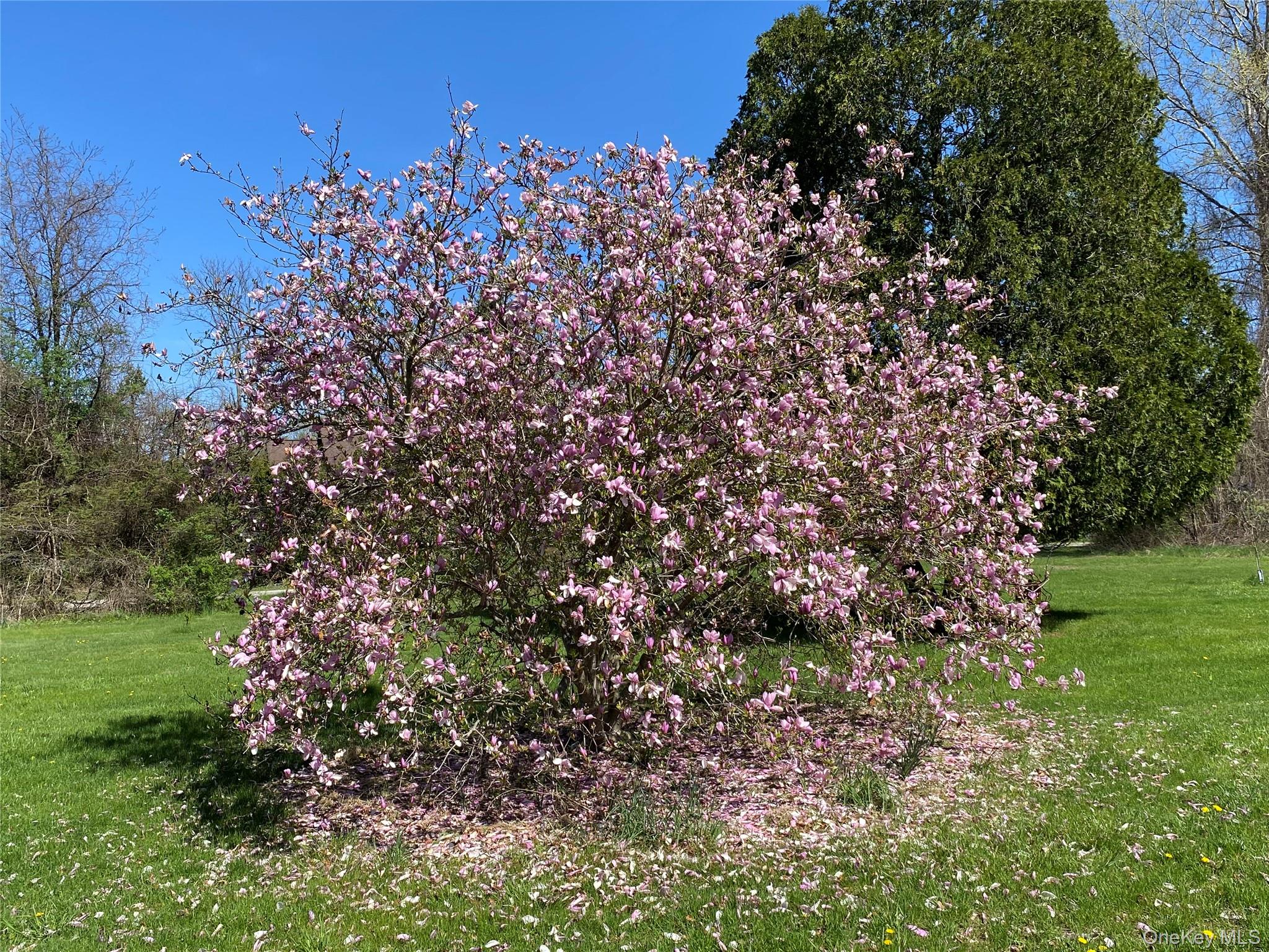 #7 photo, 14 Harrigan Road, Hopewell Junction , NY 12533